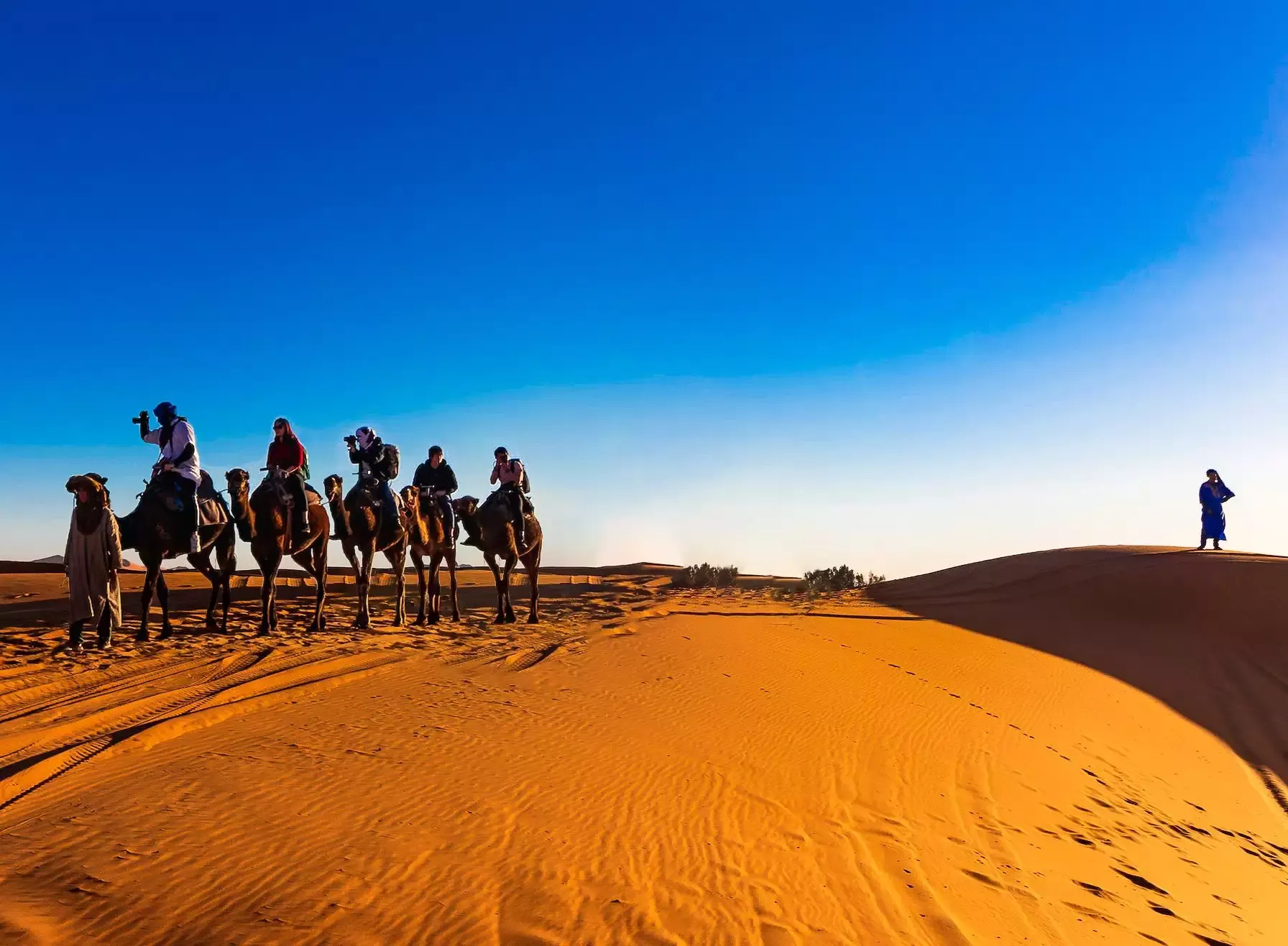 Caravana de camellos cruzando las dunas anaranjadas del Sáhara