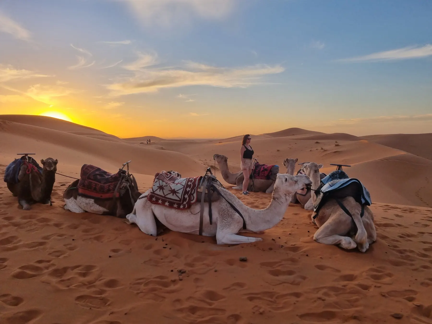 Camellos descansando entre dunas al caer el sol en el Sáhara